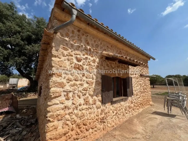 For sale with project for a single-family home, this large estate that Palma House offers you in the very center of the island!! — photo 4