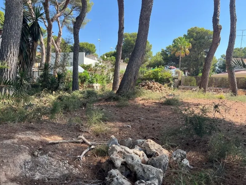 Land in Palma de Mallorca, Province of Balearic Islands — photo 4