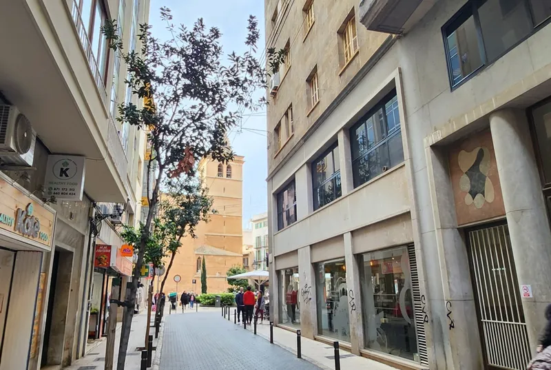 Office 240m2 for rent – San Miguel Area, Palma de Mallorca — photo 4