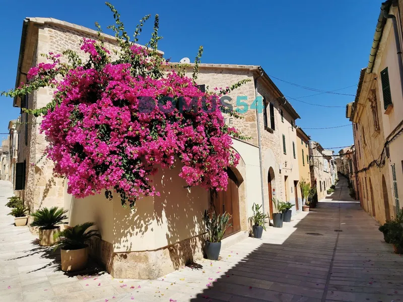 Newly built industrial building for rent of 550 square metres on a plot of about 1,000 square metres in Alcudia in the industrial estate of Can Na Lloreta — photo 6