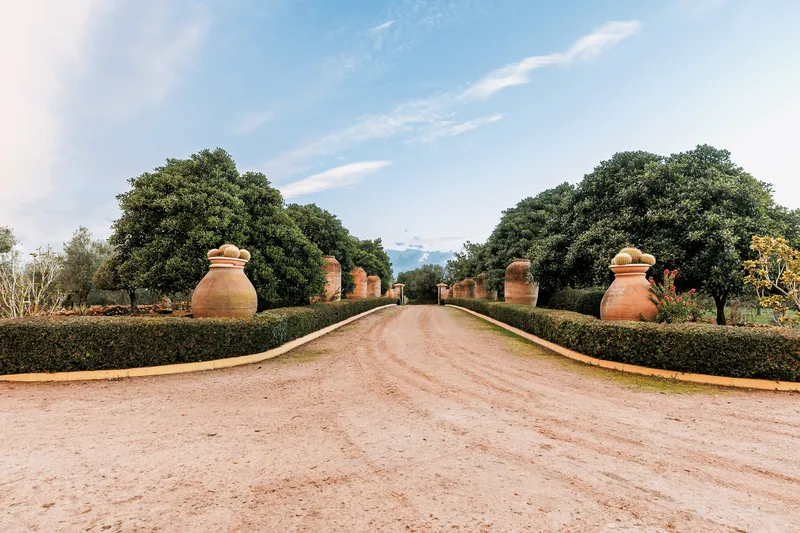 Rustic estate to renovate with farmland in Sencelles — photo 7