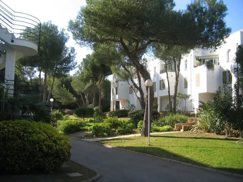Fantastic property in Sol de Mallorca — photo 1