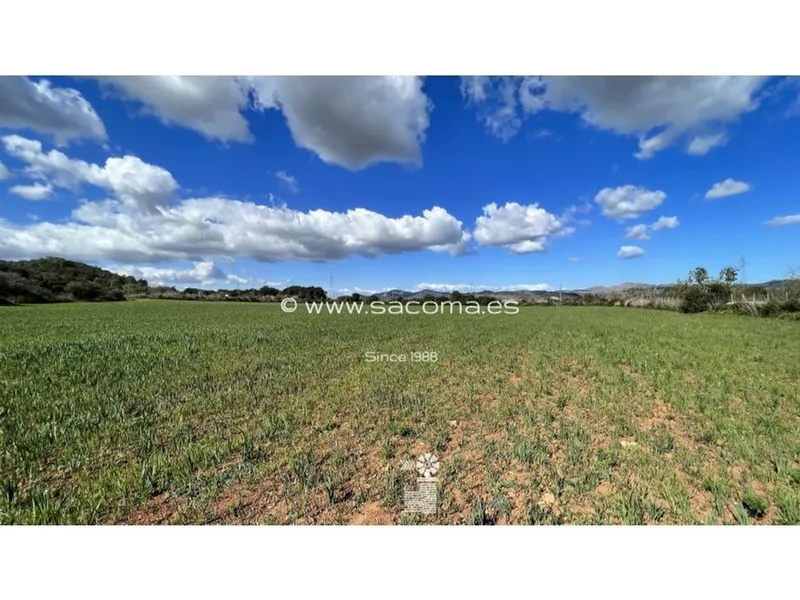 Land in Artà, Province of Balearic Islands — photo 5