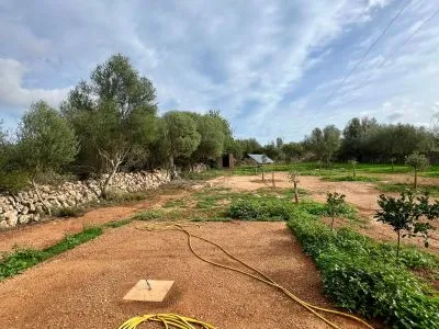 Designer country cottage with air/AC, fireplace and maximum privacy — Zona Santanyí — photo 11