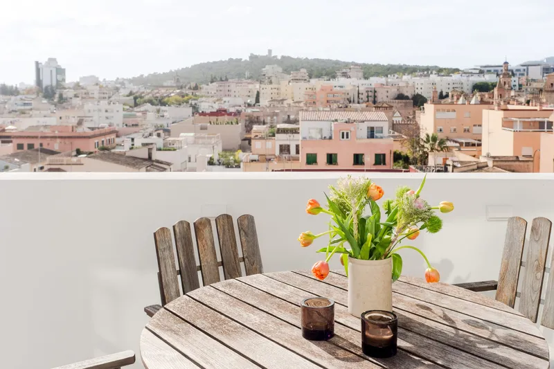 Bright apartment with large terrace & views in Son Espanyolet — photo 4
