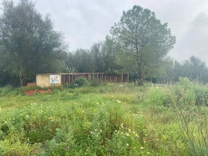 Great Investment Opportunity — photo 8