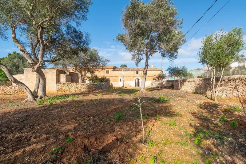 Charming rustic finca with great renovation potential in Ses Salines πΏ β photo 6