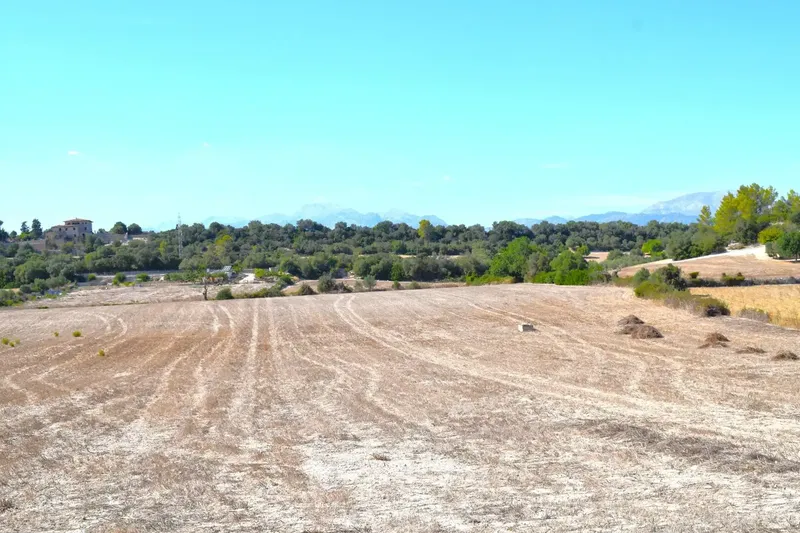 Finca rústica edificable de 32.462 m2, situada entre Llubí y Santa Margalida, en un entorno tranquilo y con hermosas vistas abiertas a la Se — photo 1