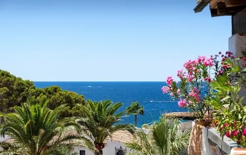 3 Bedrooms in Costa de la Calma — photo 4