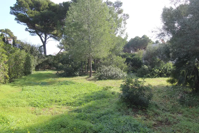 Building plot in first sea line in Cala Ratjada — photo 4