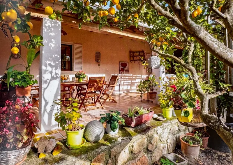 Charming rustic finca in Inca — photo 1