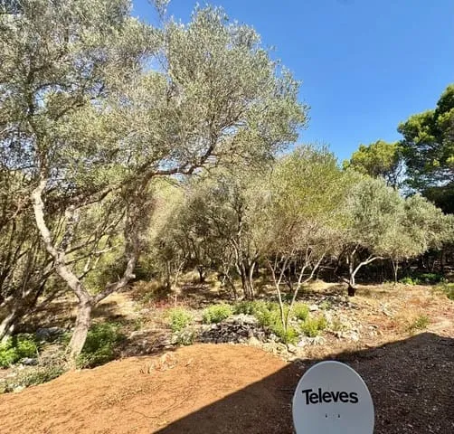 Finca/Country House for rent in Portocolom, Felanitx, Mallorca — photo 5