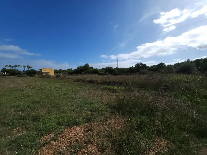 Opportunity: Rustic estate with agricultural building under construction near the beach — photo 3