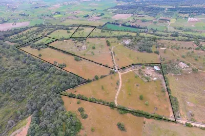 Land in a quiet area with beautiful views of the landscape in Manacor — photo 1