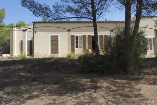 Artà: Two fincas on a natural plot near Artà — photo 10