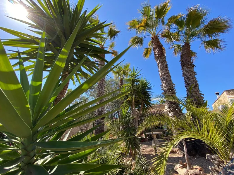 Cozy Townhouse with big garden in Sa Ràpita — photo 1