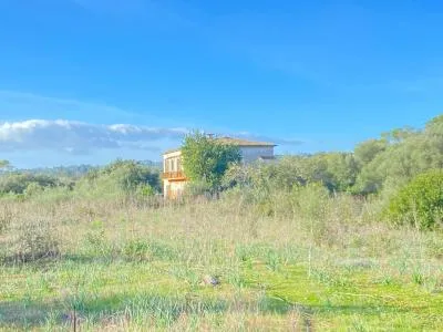 Rustic property - Sineu (Sineu) — photo 12
