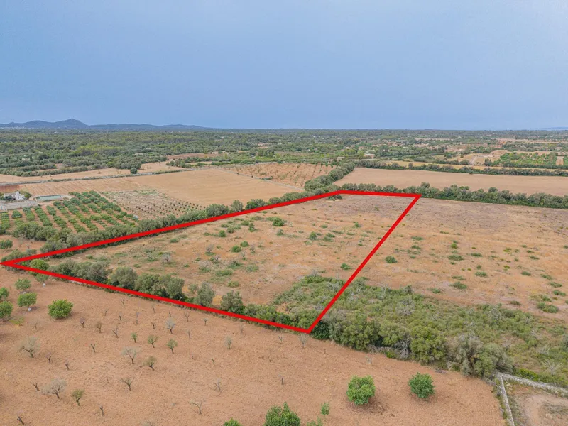 Rustic plot of 31,662 m² in Sencelles — photo 2