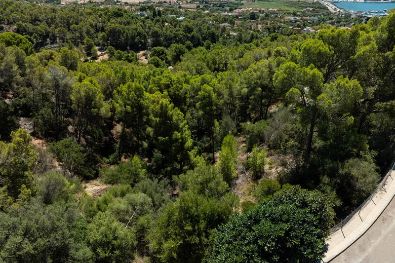 Building plot with panoramic views in sought-after residential area — photo 3