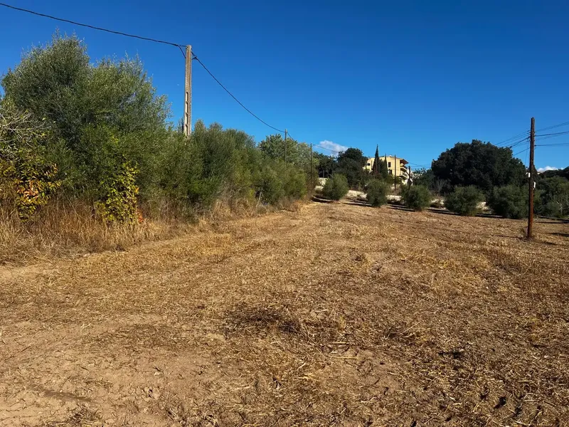 En el entorno de Campanet, se encuentra esta finca rústica, una propiedad que ofrece la oportunidad de disfrutar de la tranquilidad del camp — photo 3