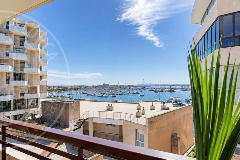 260815 – Turnkey Palma Living — photo 4
