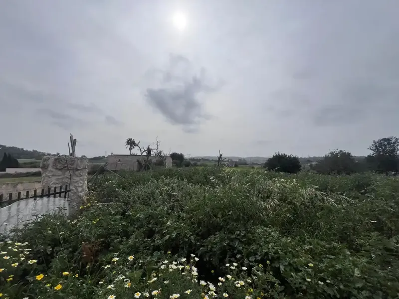 This estate in Llubí is an excellent opportunity for those seeking tranquility, space, and renovation potential. — photo 12