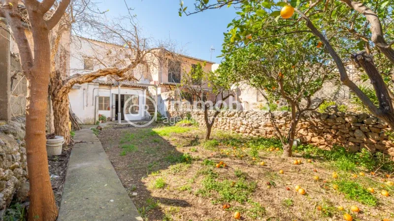 House on Carrer de Son Amengual — photo 2