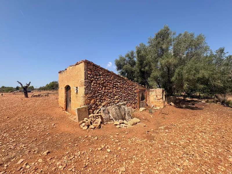 FINCA RUSTICA CON CASITA AGRARIA DE UNOS 34M2 CON CISTERNA — photo 6