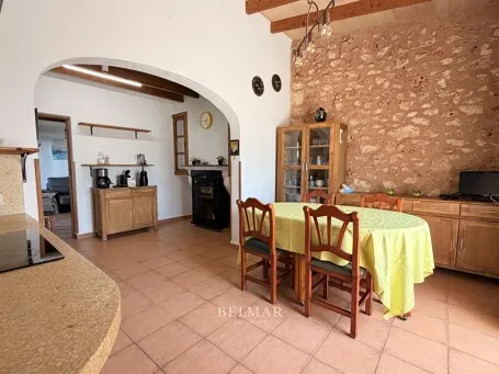 Finca with a pool and an idyllic garden between Son Carrió and Porto Cristo — photo 6