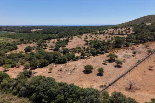 Cala Mandia, great building plot with recently granted building permit near Cala Mandia — photo 1