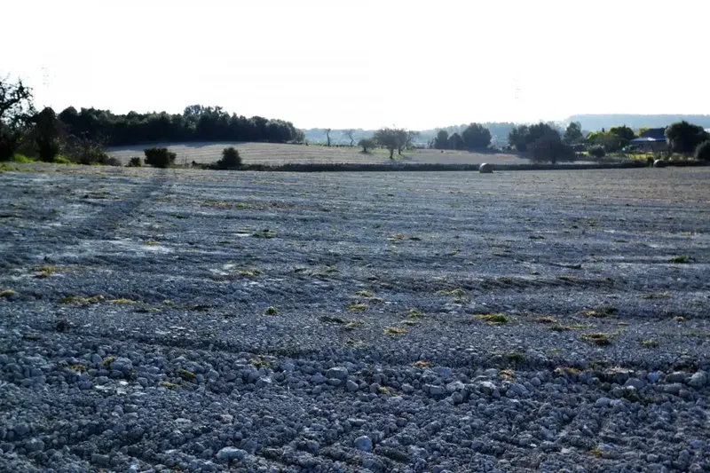 Plot of more than 25000 m2 in Llubí — photo 7