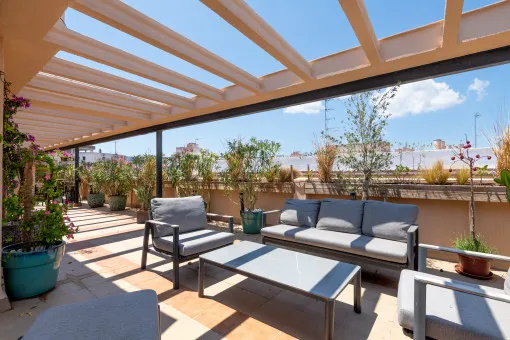 Palma City, spacious renovated apartment with a huge, sun-drenched terrace — photo 12