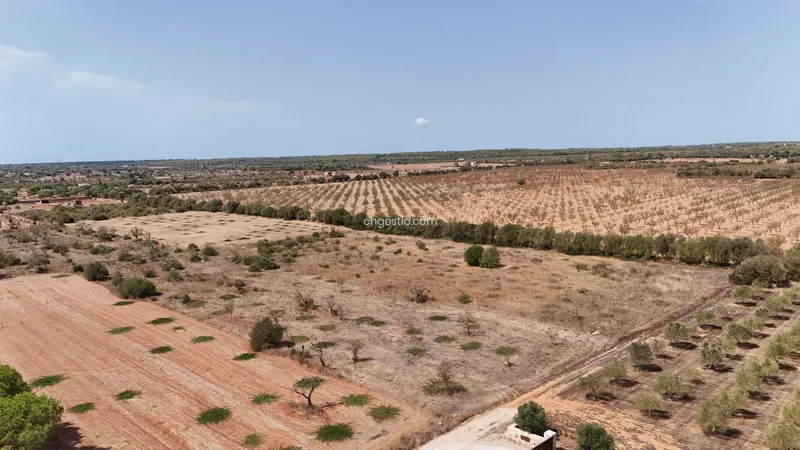 Finca rústica en Campos — photo 5