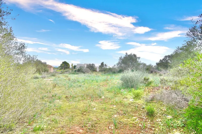 Land plot for sale in Son Gual II with building permit — photo 7