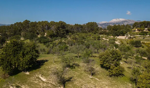 A Haven in the Tramuntana: Plot with Project and License Ready to Build — photo 5