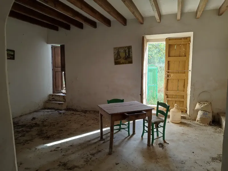 Rustic estate for sale in the municipality of Petra, Son Maimo area, known as Son Metlet — photo 6