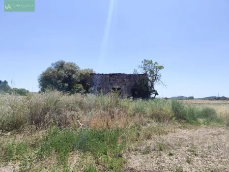 Rural Land - Maria de la Salut (Maria de la Salud), Built Surface 44m², Plot Surface 5000m² — photo 7