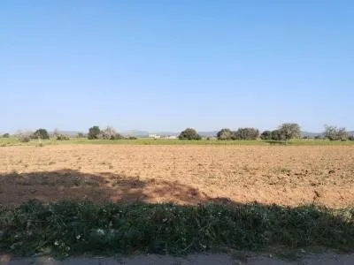 Rural Land - Campos, Plot Surface 2406m² — photo 8