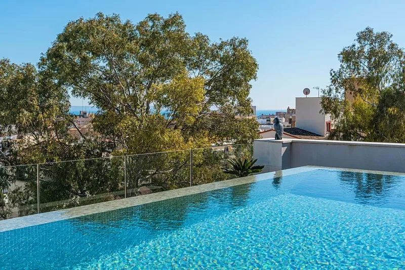 Stunning penthouse with private rooftop pool in prime location — photo 4
