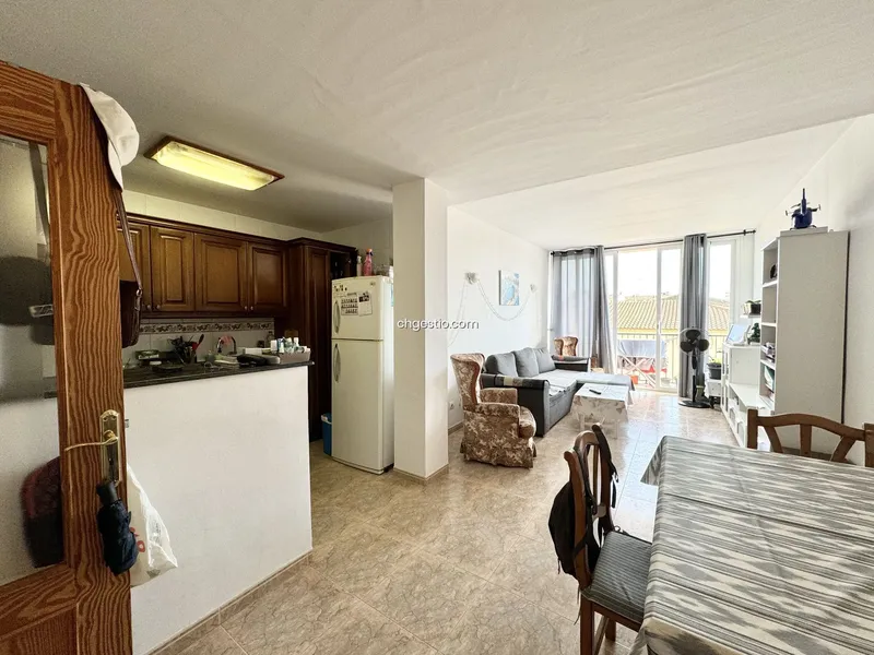 Apartment in Campos — photo 3
