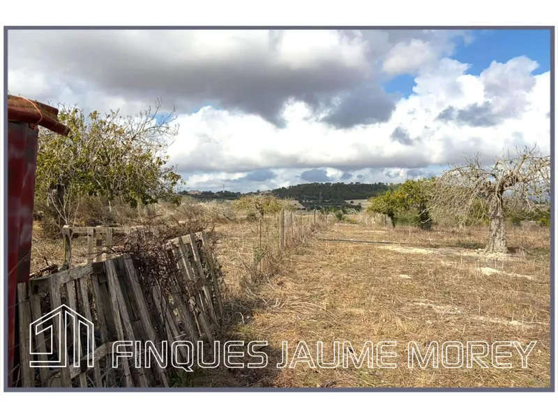 Rustic house — photo 8