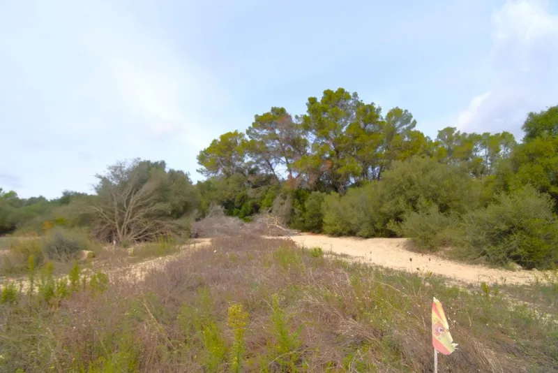 Land in Muro, Province of Balearic Islands — photo 8
