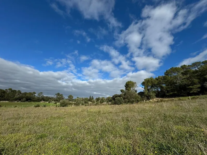 Land in Lloret de Vistalegre, Province of Balearic Islands — photo 10