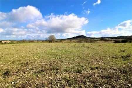 Rural Land - Sineu, Plot Surface 28600 m² — photo 8