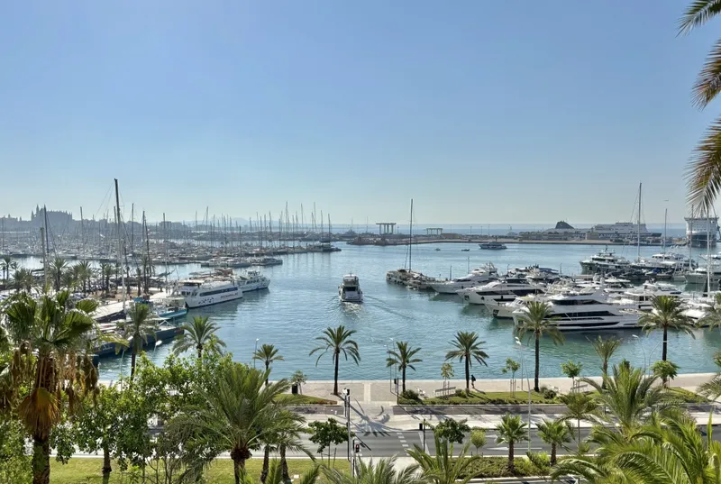 Señorial Villa in the Bay of Palma · A Unique Property — photo 6