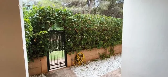 Flat for rent in Palma de Mallorca — photo 6