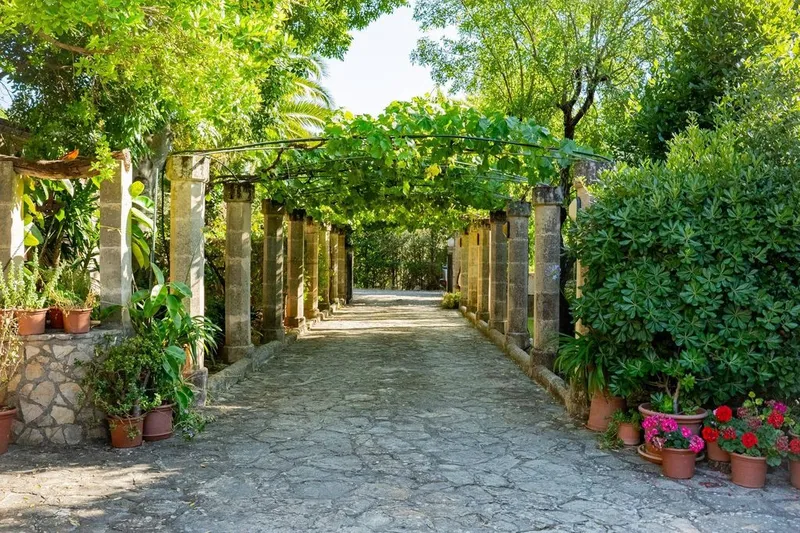 Villa in Bunyola, Province of Balearic Islands — photo 2