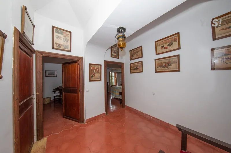 Manor with forest land and large agrarian territory in Maria de la Salud — photo 12