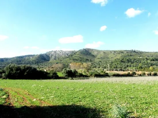Nice finca near Alcudia with views, 135,000 m², very big, with possibility to build a villa — photo 4