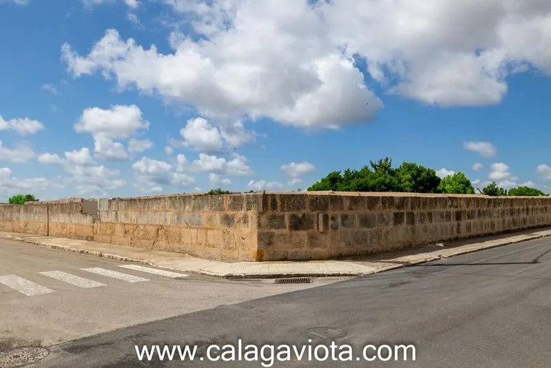 Land in Ses Salines, Province of Balearic Islands — photo 1